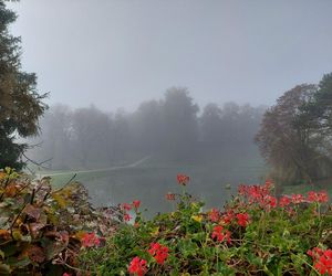 Zamojski Park jesienią