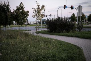 Ulica Antonińska w Lesznie