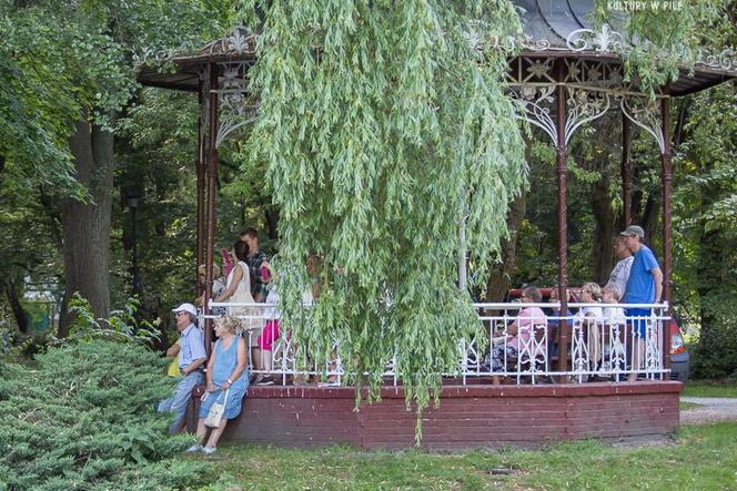 Można odpocząć w pięknym otoczeniu pilskiego parku słuchając największych przebojów Białego Anioła
