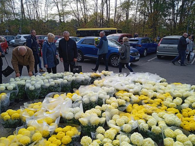 Wszystkich Świętych 2022 w Zielonej Górze