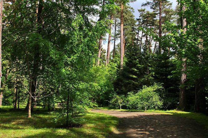 Tajemniczy ogród na Warmii. Tu warto wybrać się na jesienny spacer [ZDJĘCIA]