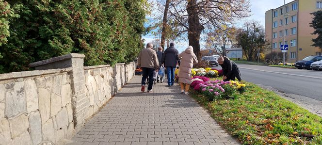 Przygotowania do Wszystkich Świętych Zamość