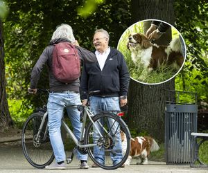 Pies pomaga Markowi Jakubiakowi w kampanii. Ależ słodziak! [ZDJĘCIA]