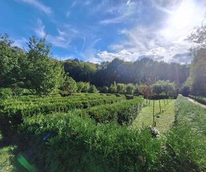 Arboretum Bramy Morawskiej zachwyca jesienią