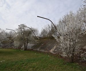 Tor kolarski Orzeł przy ul. Podskarbińskiej 11 w Warszawie