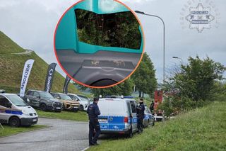 Dni Piekar Śląskich 2025: W toi toiu zrobiono dziurę, by podglądać? Organizator: To wentylacja