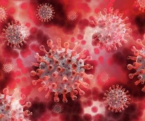  Nowy wariant koronawirusa jest już w Polsce. Ile jest zakażeń wariantem Eris?