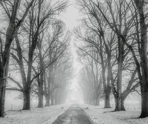Deszcz, śnieg, a nawet burze! Wichury do 140 km/h to nie wszystko 