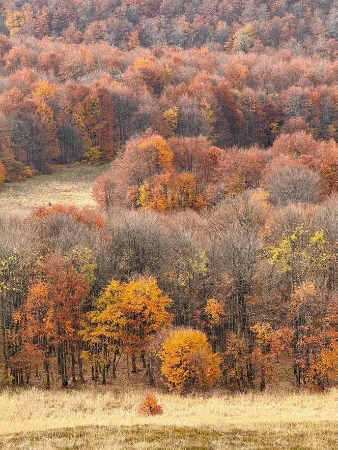 Jesienne Bieszczady