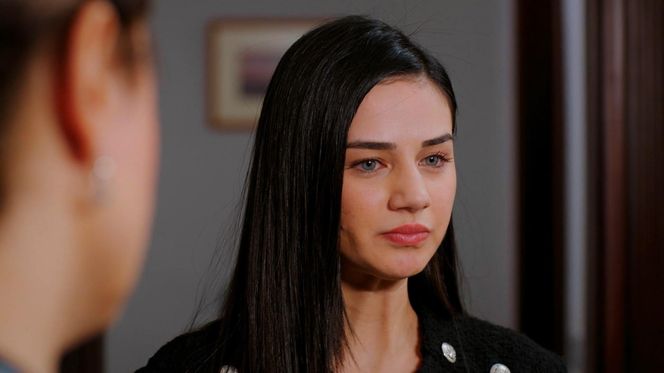 Miłość i nadzieja odc. 282. Cavidan, Bahar