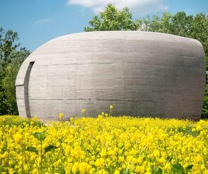 Zielona Warszawa: spacerem po parkach, nabrzeżach Wisły i ogródkach działkowych