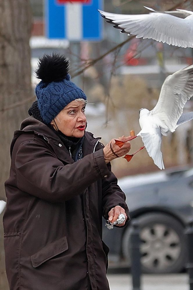 Anna Chodakowska. Gwiazda "Labiryntu" wśród ptaków