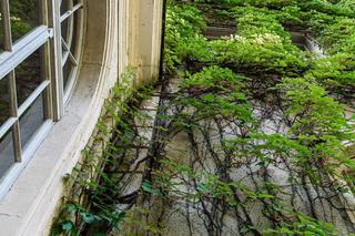 Tajemniczy pałac kilkadziesiąt kilometrów od Olsztyna. Był siedzibą rodu Fischerów [ZDJĘCIA]