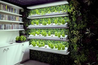 Metroteka w Warszawie