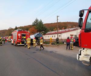 Grabownica Starzeńska. Wypadek autokaru [GALERIA]