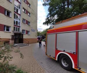 Cztery wozy strażackie na ul. Chrobrego w Toruniu. Wszystko przez przypaloną potrawę [ZDJĘCIA]