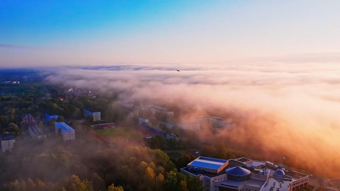 To najpiękniejsze miasteczko studenckie w Polsce. Zobacz, jak wygląda Kortowo z lotu ptaka [ZDJĘCIA, NAGRANIE]