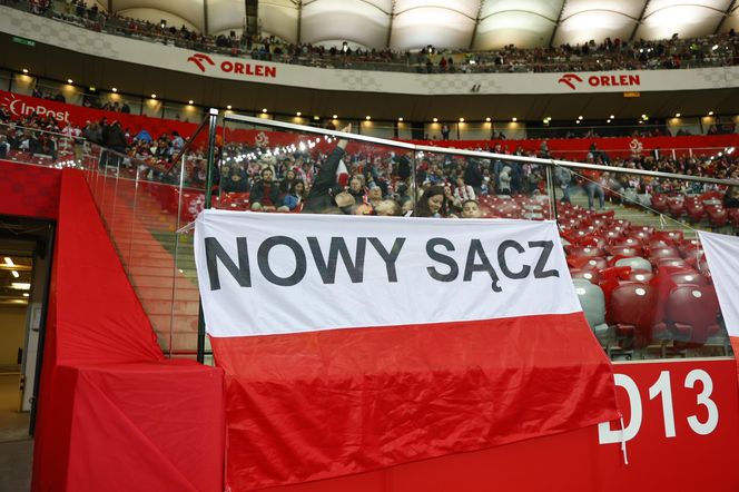 Kibice wspierają Polskę w meczu z Litwą. Zobacz zdjęcia