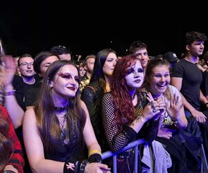 Posadzili drzewa, a następnie dali gorący koncert. Finał akcji zespołu Nocny Kochanek w Skarżysku