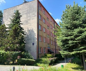 Jest plan. W starych blokach dobudują windy.  Nie we wszystkich i nie wszędzie
