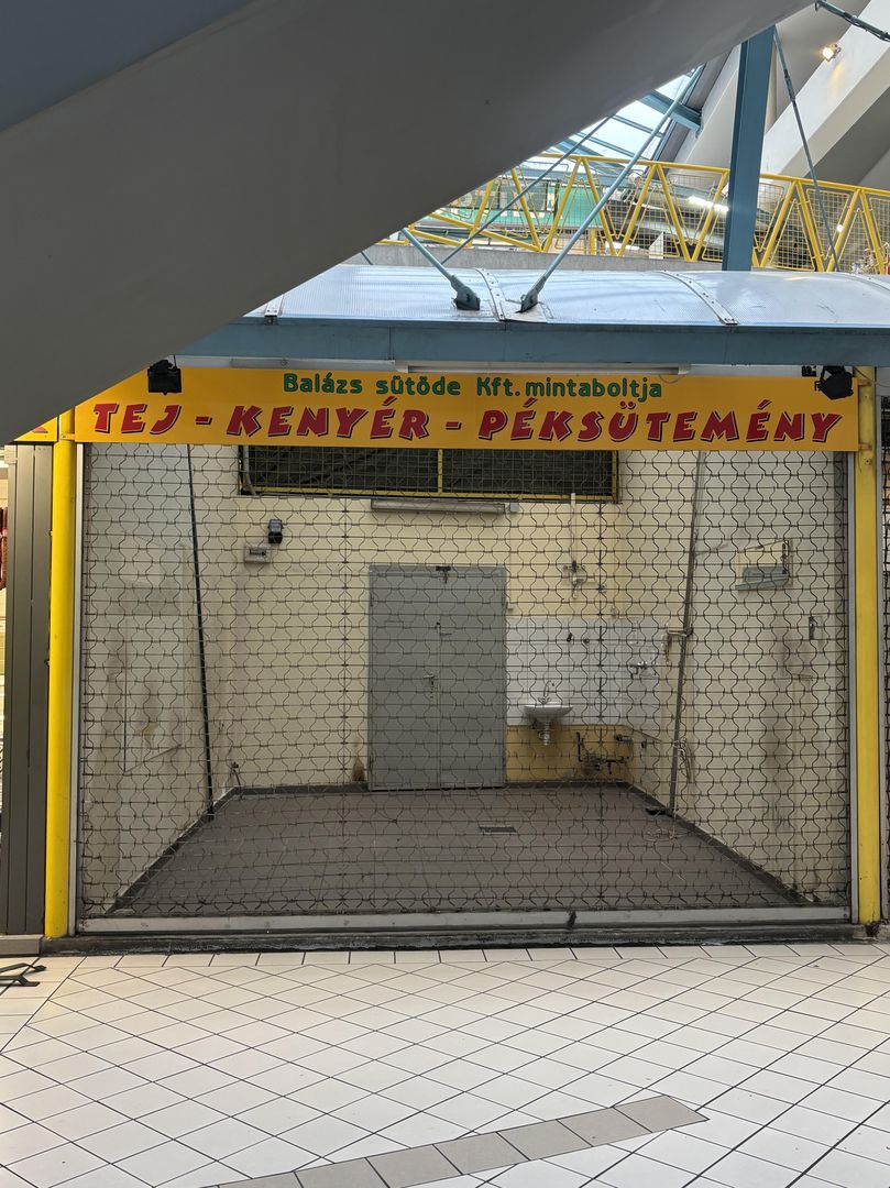 Lehel Market w Budapeszcie