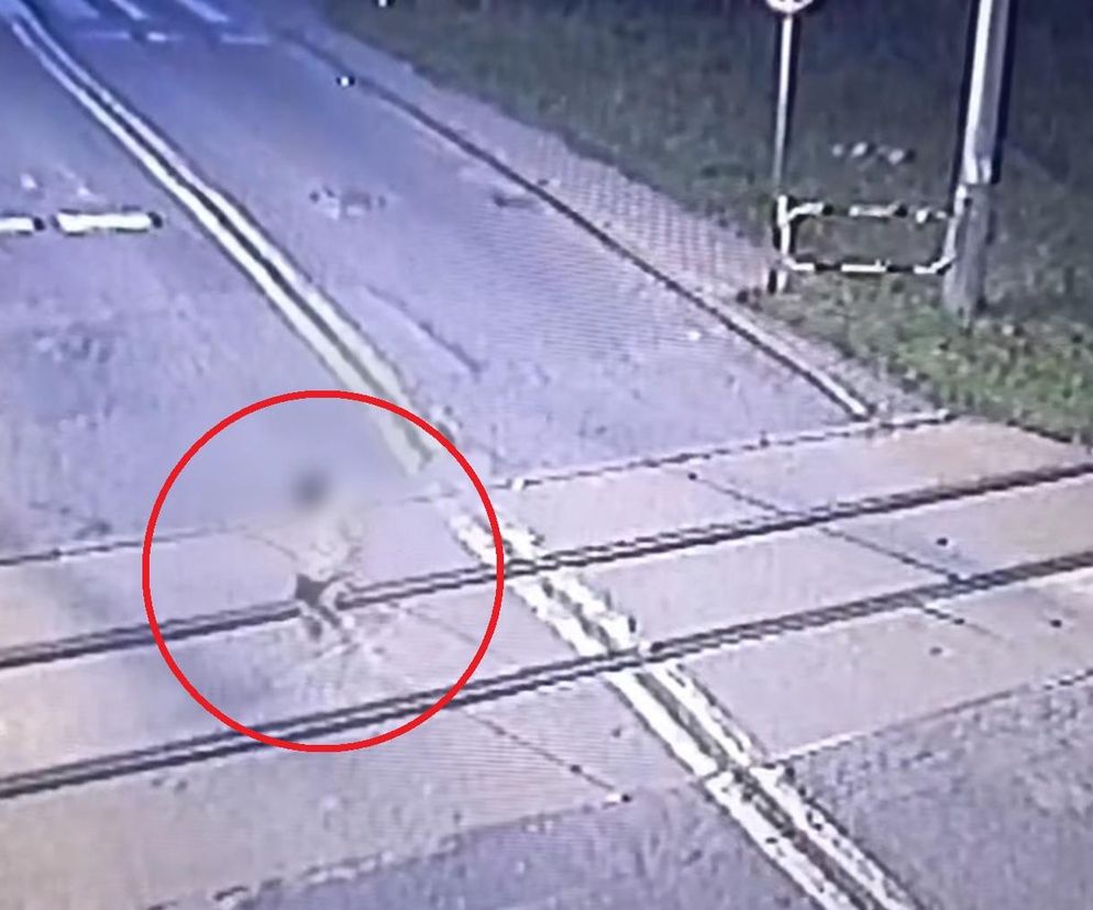 Mikołów: Policjanci w ostatniej chwili uratowali 6-latka. Chłopiec bawił się na torach 