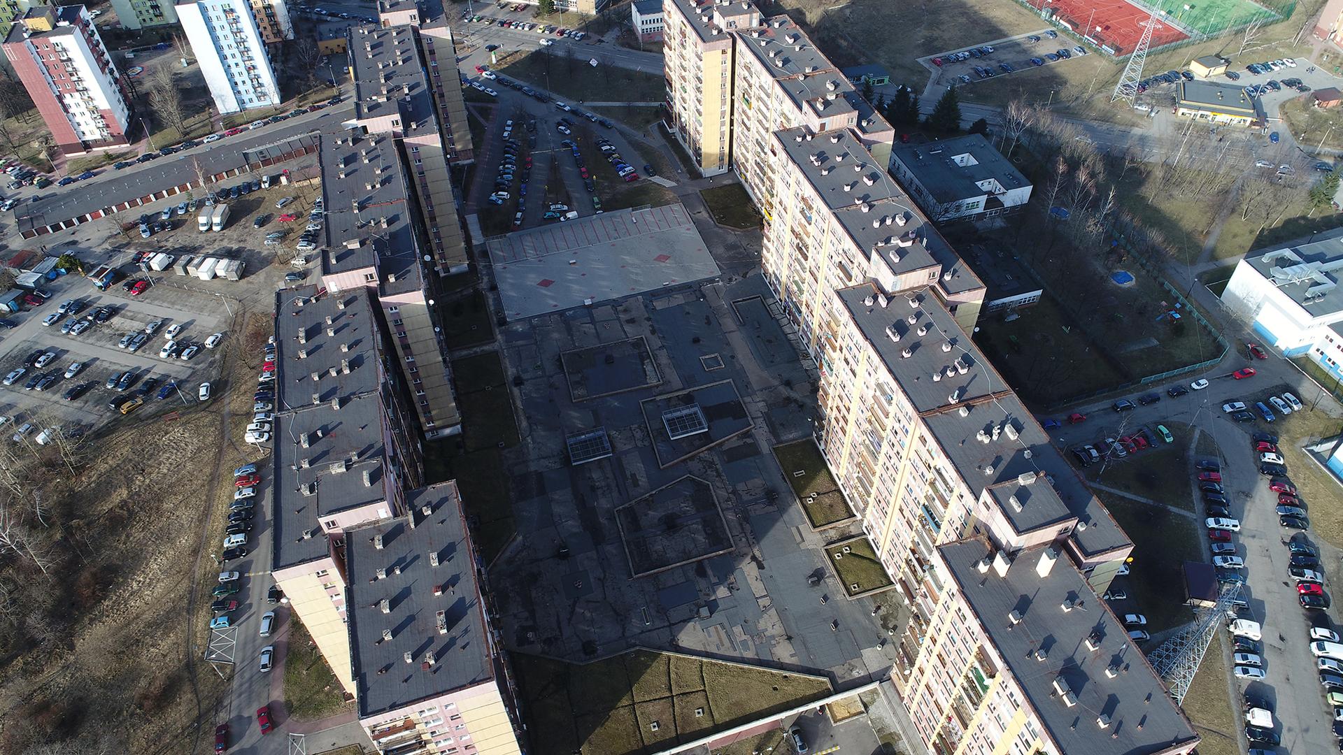 Dach nasz pospolity, dron_2