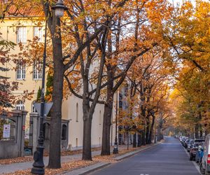 Kolonia profesorska w Warszawie