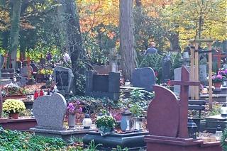 Cmentarz Centralny w Szczecinie przed 1 listopada