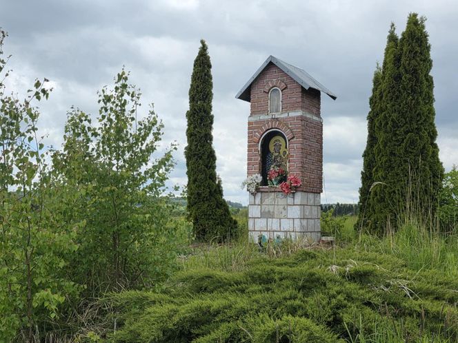 Podkarpackie kapliczki z historia. Wrzućcie tam prosze wszytko jak leci, tylko prosze tez jeszcze o pierwsze zdjęcie.