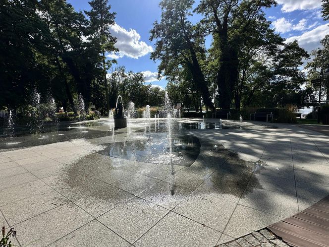 Drożyzna w sklepach? W tym mieście sprzedawcy obniżyli ceny i załamują ręce