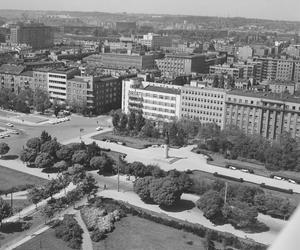 Polska potrzebowała portu. Gdynia im go dała! Archiwalne zdjęcia miasta