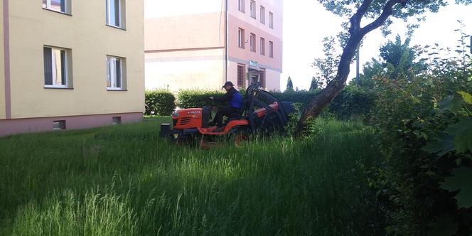 "Starachowiczanka" w akcji