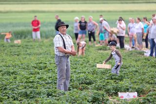 Samozbiory truskawek w Zbrosławicach to prawdziwy hit 