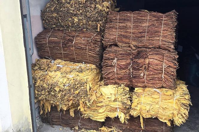1400 kilogramów nielegalnego tytoniu! W ujęciu pomagały służby z Warmii i Mazur