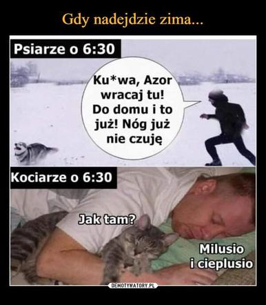 Memy o zimie roztapiają smutki. Te śnieżne obrazki rozbawią cię do łez [TOP 75]