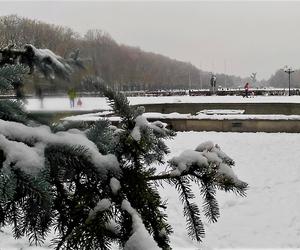 Pierwszy śnieg w Szczecinie