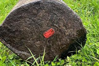 Wysprzątano rzekę Pisę. Natrafiono na unikatowe w skali kraju znalezisko! [ZDJĘCIA]