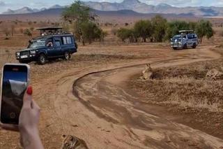 Marcin Mroczek oko w oko z lwem