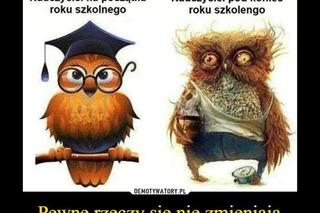 memy koniec roku szkolnego