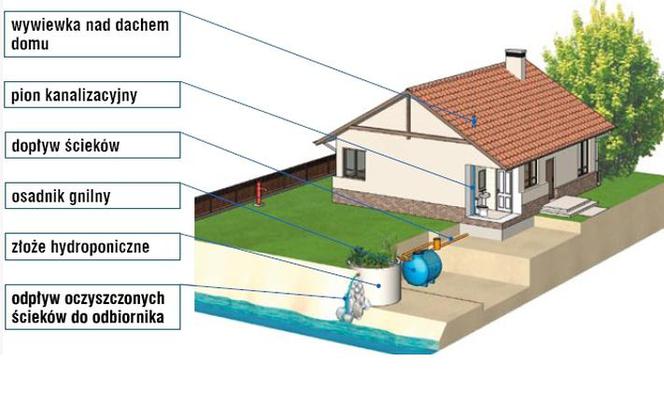 Przydomowa oczyszczalnia ścieków ze złożem hydroponicznym