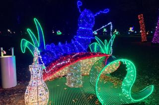 Park Miliona Świateł 