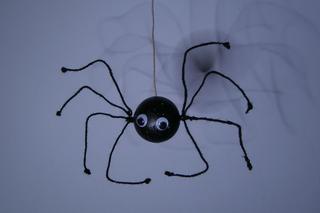 Dekoracje na Halloween. Jak zrobić strasznego pająka?