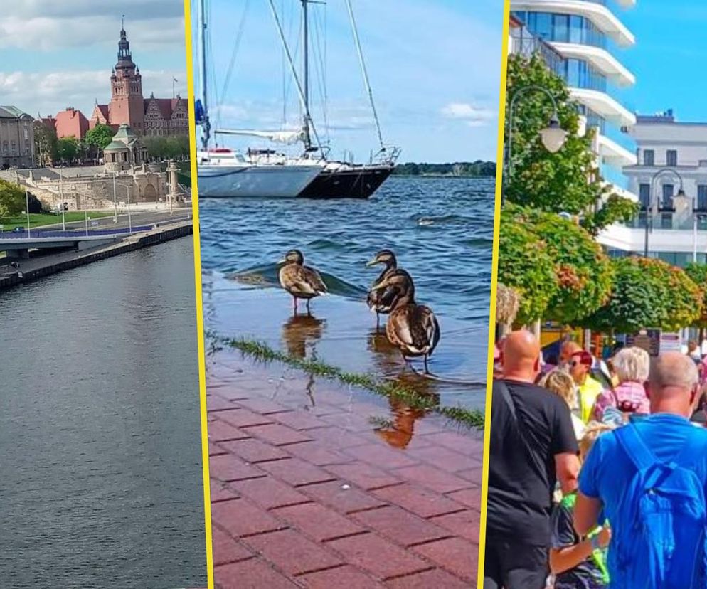 Tramwaj wodny połączy Szczecin, Nowe Warpno i Świnoujście