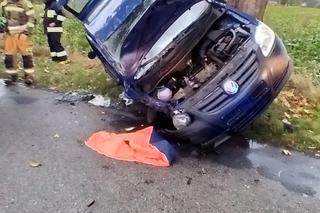 Lubieszewo: Wypadek osobówki. Kierowca trafił do szpitala [ZDJĘCIA]