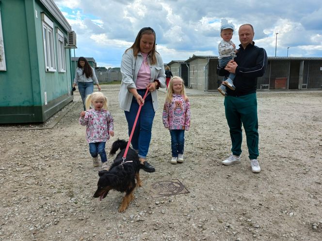 „Wszystkie psiaki nasze są” w schronisku w Henrykowie koło Leszna