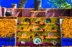 La Casa Azul - dom Fridy Kahlo 