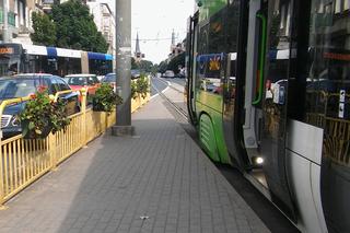Kwietniki na przystanku tramwajowym na placu Kościuszki