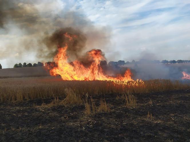 Dwa pożary zboża oraz rżyska w powiecie braniewskim