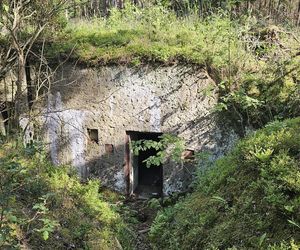 Odwiedziłam jeden z piękniejszych powiatów na Mazurach. To prawdziwy „szlak bunkrowy”